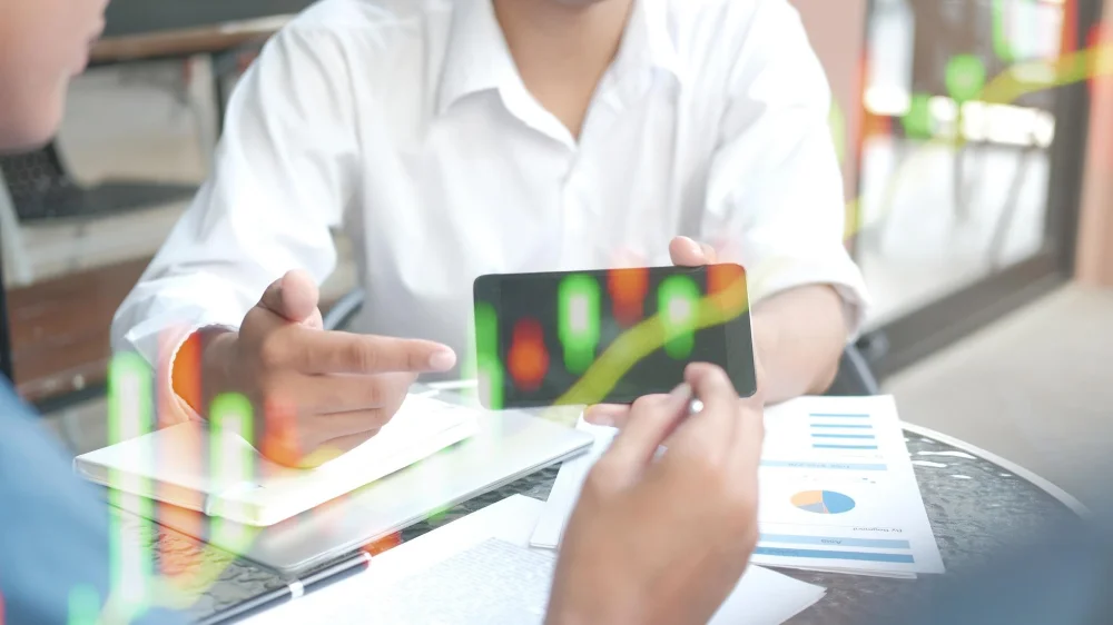 Credit Scoring and Risk Assessment