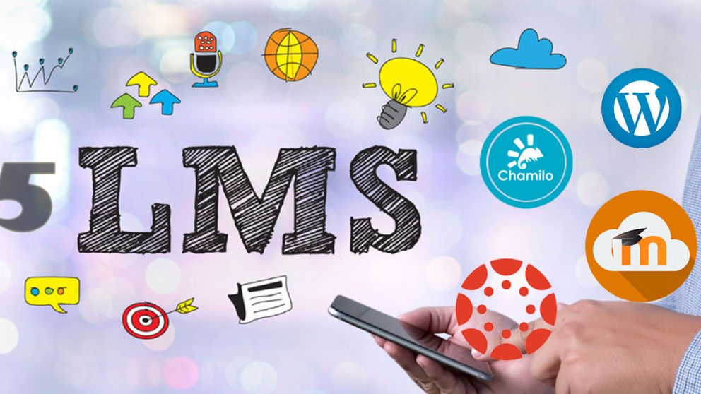 Everything You Need to Know about Learning Management System (LMS)