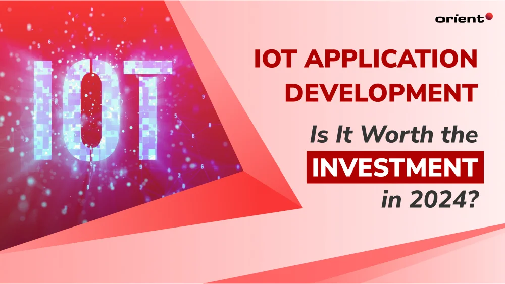 IoT Application Development: Is It Worth the Investment in 2024?
