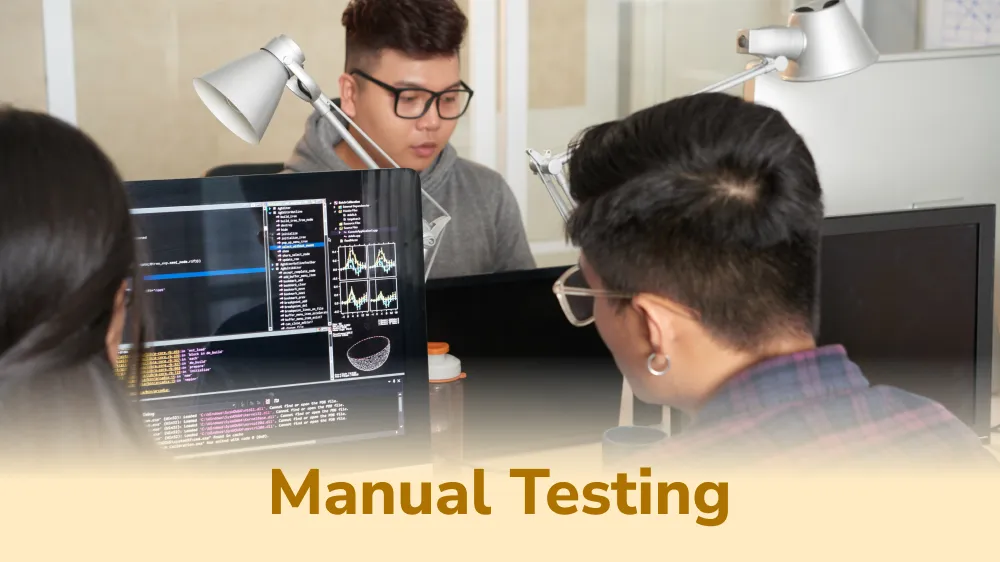 What Is Manual Testing?