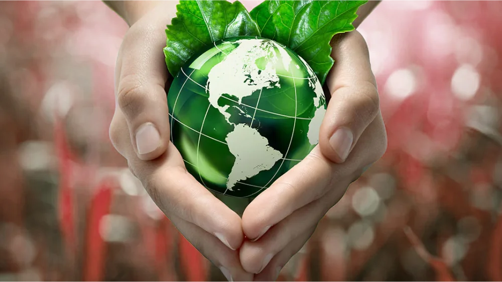 Green Initiatives and Sustainability in Software Outsourcing