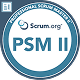 professional scrum master II